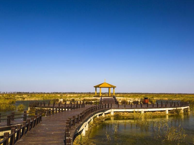 沧州黄骅妈祖庙,南大港湿地二日游——沧州旅游-旅游