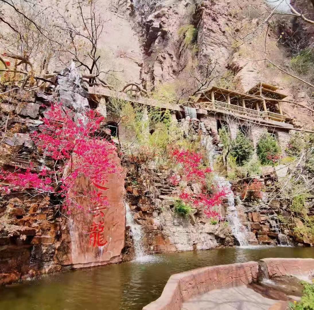 门票 邢台门票 ==【桃花源实景拍摄】== 北方水世界 南方花海洋 最美